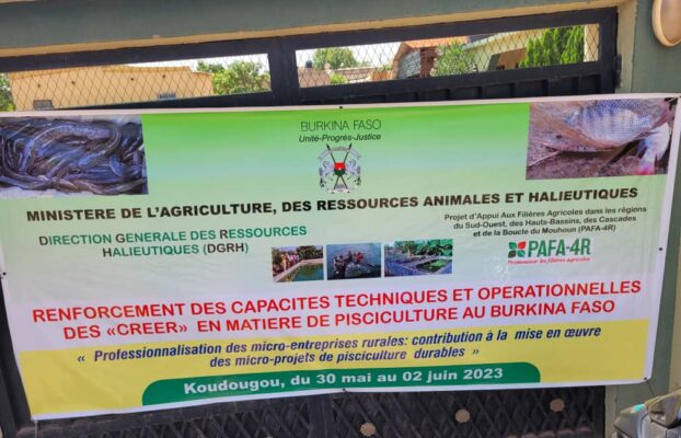 Pisciculture : le PAFA-4R forme les CREER sur les techniques et la réglementation
