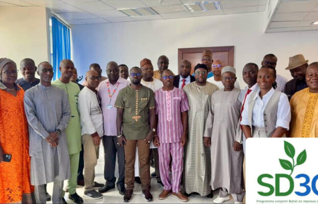 PROGRAMME SD3C : LES EQUIPES PAYS ET LA COORDINATION REGIONALE SE CONCERTENT A N’DJAMENA