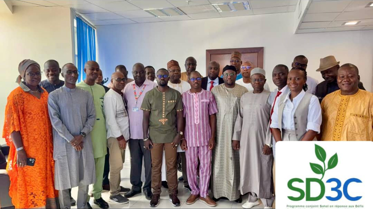 PROGRAMME SD3C : LES EQUIPES PAYS ET LA COORDINATION REGIONALE SE CONCERTENT A N’DJAMENA