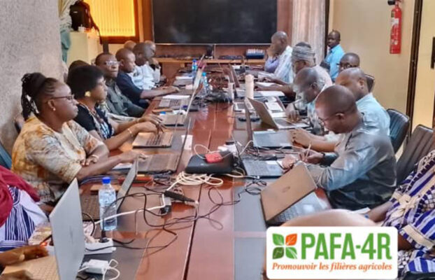 MISSION D’APPUI AU PAFA-4R : L’ACHÈVEMENT DU PROJET AU CENTRE DES CONCERTATIONS