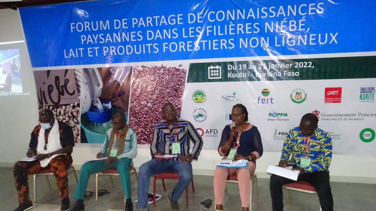 PARTAGE DE CONNAISSANCES PAYSANNES DANS LES FILIERES NIEBE, LAIT ET PFNL Les projets du portefeuille du FIDA au Burkina Faso y ont pris part