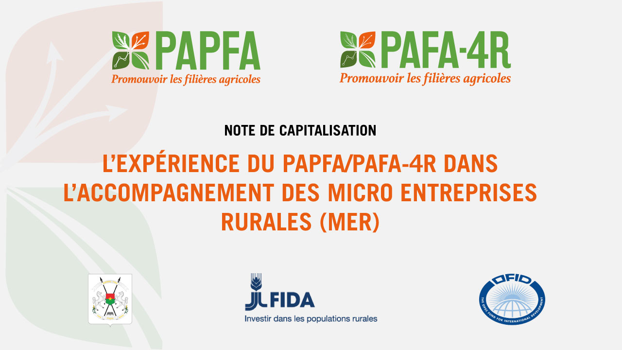 L’EXPÉRIENCE DU PAPFA/PAFA-4R DANS L’ACCOMPAGNEMENT DES MICRO ENTREPRISES RURALES (MER)